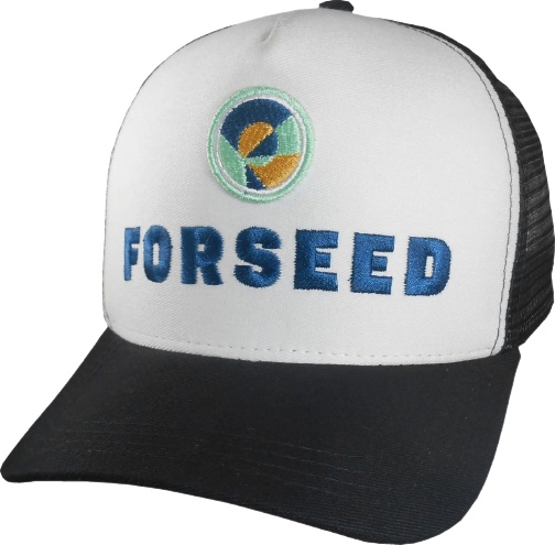 bone024-removebg-preview