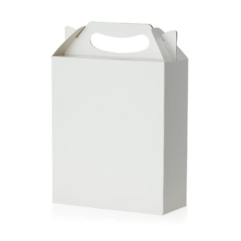 Embalagem-Maleta-M-14528-1655841574