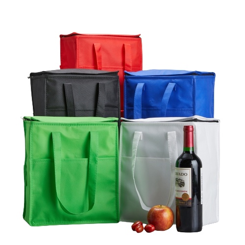 Bolsa-Termica-9-Litros-17297d1-1697542016-removebg-preview