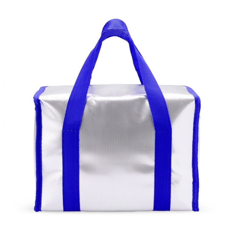 Bolsa-Termica-9-5-Litros-21356d4-1732281115