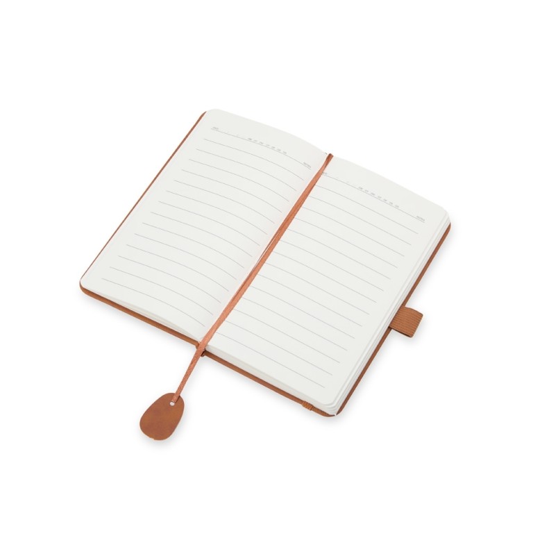 Caderneta-Emborrachada-22010d4-1737732580