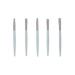 Brinde Kit Pincel 5 Peças